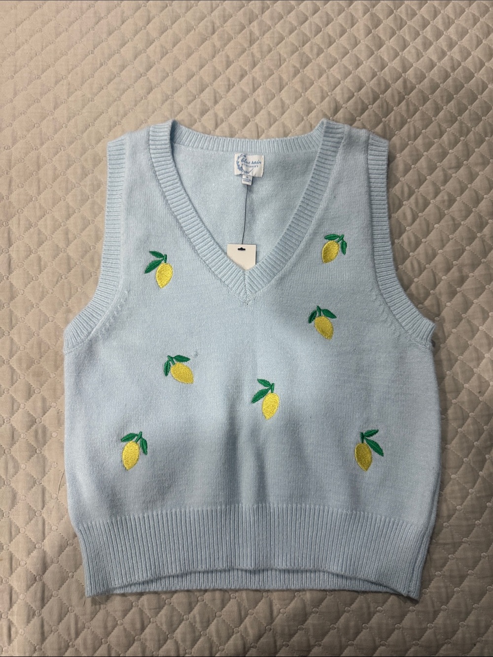 Francesca's Collections Pale Blue V-Neck Lemon Embroidered Tank
